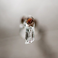 Ice Crystal
